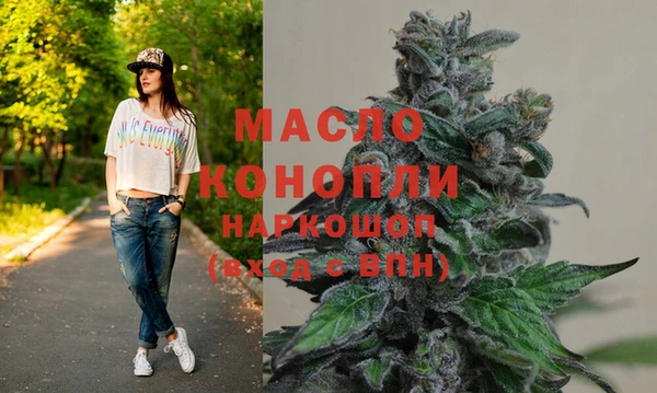 молекула духа Арсеньев