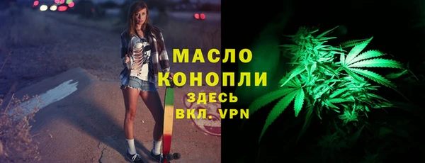 молекула духа Арсеньев