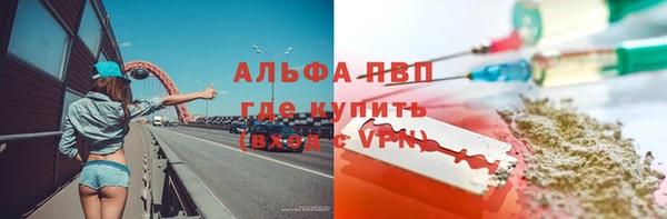 молекула духа Арсеньев