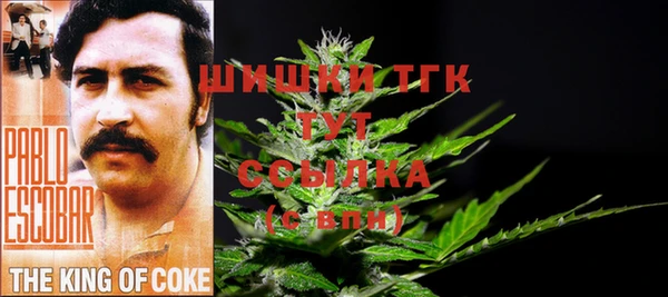 дживик Мегион