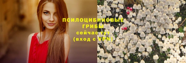 молекула духа Арсеньев