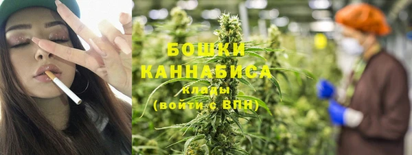 ПСИЛОЦИБИНОВЫЕ ГРИБЫ Медвежьегорск